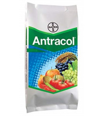Antracol - Propineb 70% W.P. 250 grams